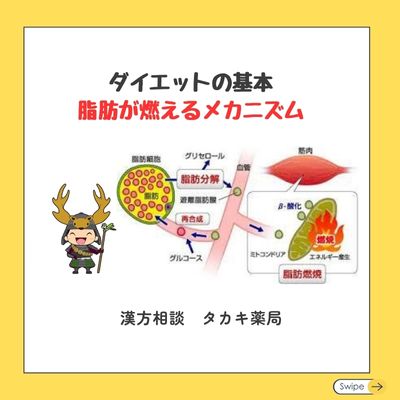 【脂肪細胞が燃えるメカニズム】